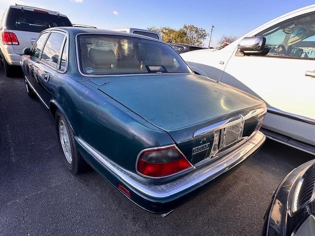 /その他 ジャガー