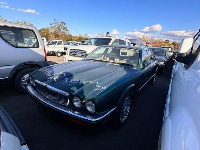 /その他 ジャガー