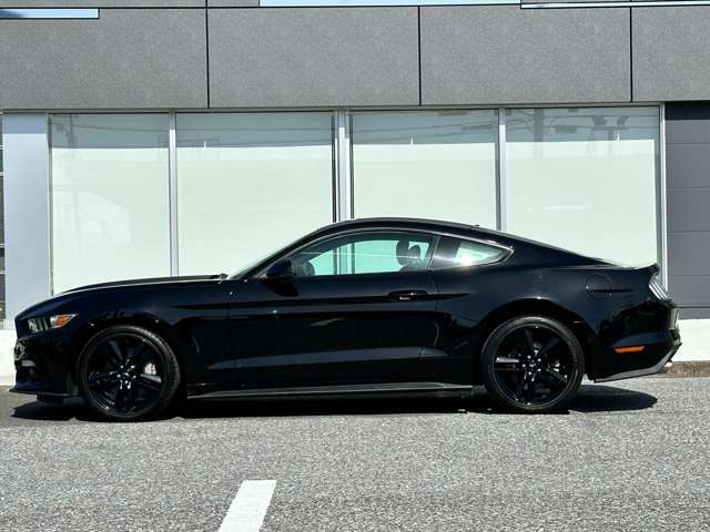 マスタング50イヤーズ エディション