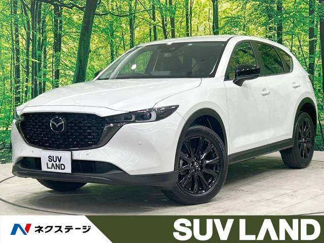 CX-5(マツダ) 2.0 20S ブラックトーンエディション 中古車画像