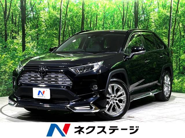 RAV4(トヨタ) G Zパッケージ 中古車画像