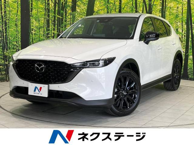 CX-5(マツダ) 2.0 20S ブラックトーンエディション 中古車画像