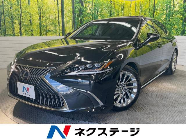 ES(レクサス) 300h バージョンL 中古車画像