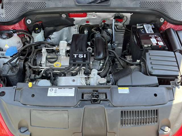 ザ・ビートルブラック スタイル