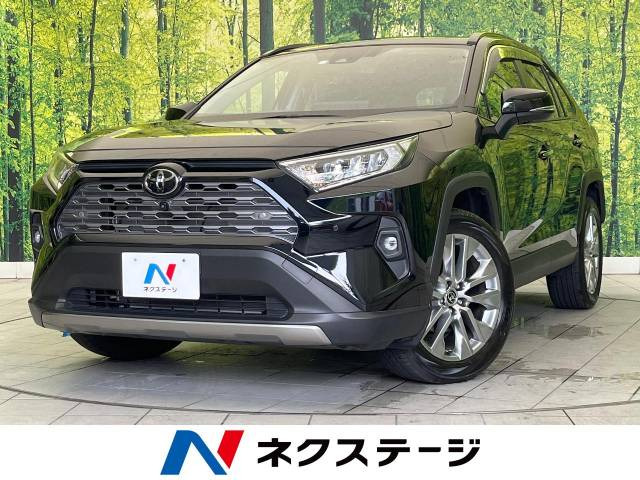 RAV4(トヨタ) G Zパッケージ 中古車画像