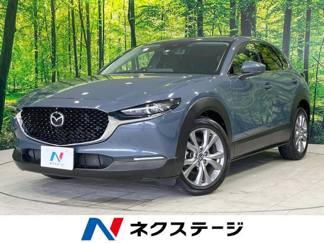 CX-30(マツダ) 2.0 20S プロアクティブ ツーリングセレクション 中古車画像