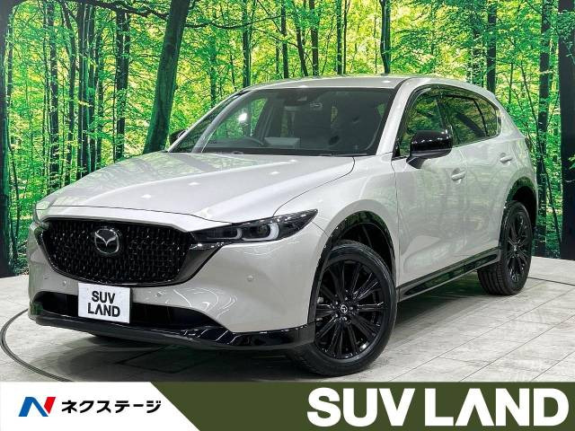 CX-5(マツダ) 2.5 25S スポーツアピアランス 中古車画像