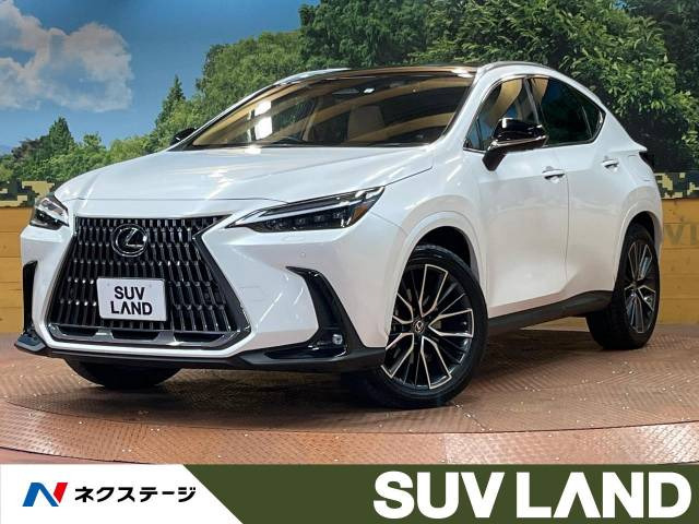 NX(レクサス) 350h バージョンL 中古車画像