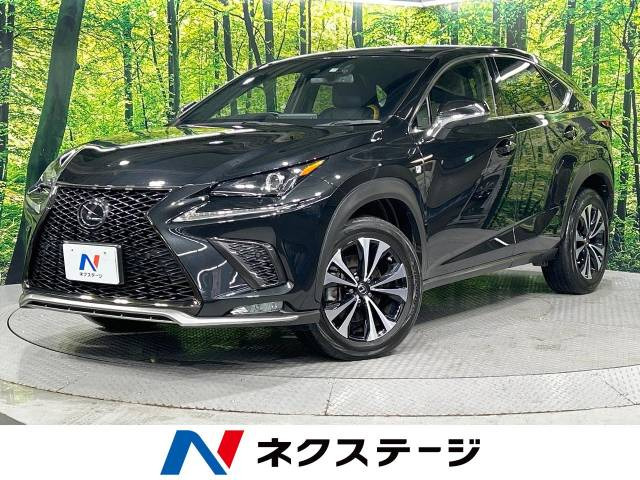 NX(レクサス) 300 Fスポーツ 中古車画像