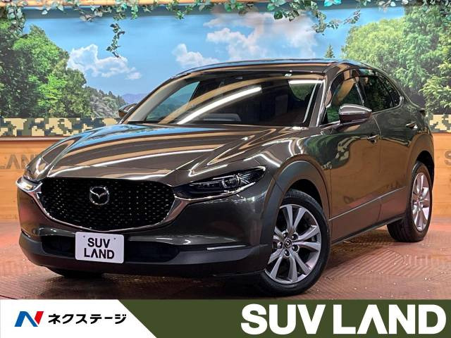 CX-30(マツダ) 2.0 20S プロアクティブ 中古車画像