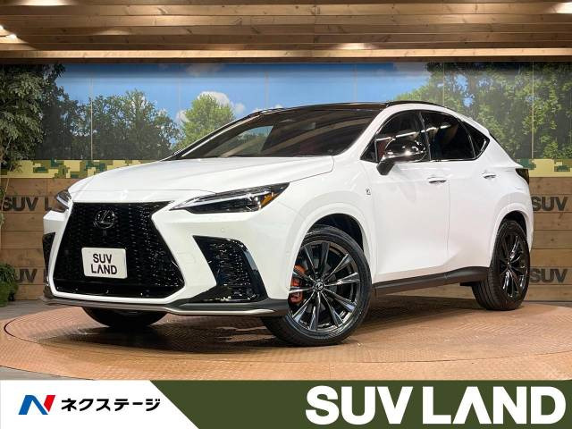 レクサス NX 愛知県の中古車一覧｜中古車検索 - 価格.com