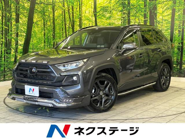 RAV4(トヨタ) アドベンチャー 中古車画像