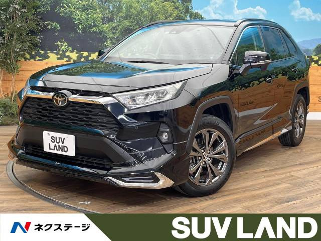 RAV4(トヨタ) 2.0 X 中古車画像