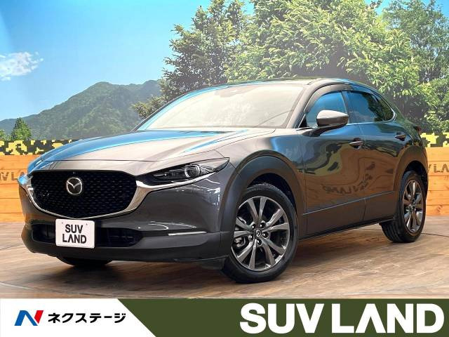 CX-30(マツダ) 2.0 X プロアクティブ ツーリングセレクション 中古車画像