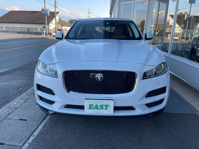 XFポートフォリオ