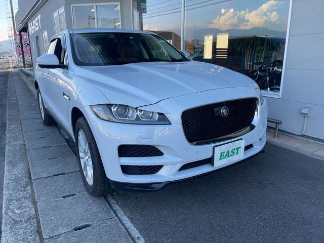 XFポートフォリオ