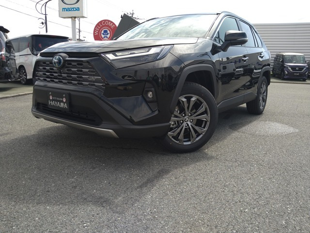 RAV4(トヨタ) 2.5 ハイブリッド G E-Four 4WD　パノラミックビューM/パノラマルーフ 中古車画像