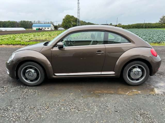 �K���[�W�C�t�B�j�e�B�ɂ͑����A�Ԏ�l�X�ȍ݌ɂ��������܂��B�����Ƃ��C�ɓ���̈��ɏo���͂��ł���