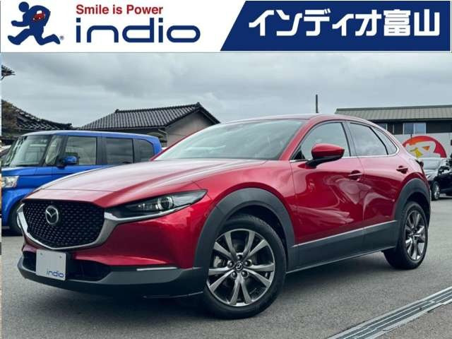 CX-30（マツダ）2.0 X プロアクティブ ツーリングセレクション　純正ナビ 全方位カメラ BSM 電動リア LED 中古車画像
