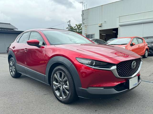 �O���N���[�j���O�ς�!����ւ��݂ȂǍׂ��ȏ�Ԃ��C�ɂȂ���͌����m�F�������߂ł�!