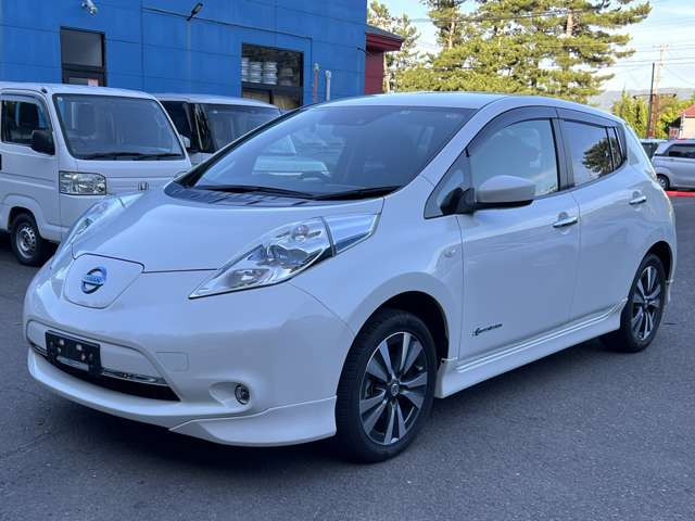 リーフ30kWh X サンクス エディション