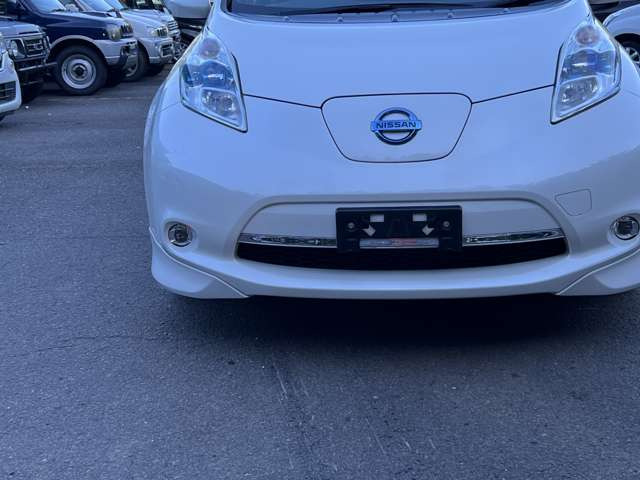 リーフ30kWh X サンクス エディション