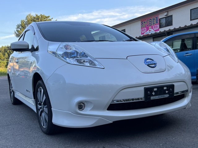 リーフ30kWh X サンクス エディション