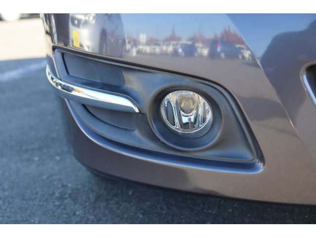 �t�H�O�����v�������c