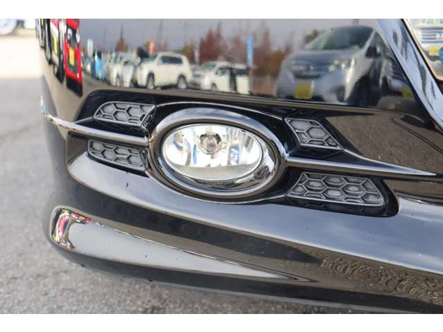 フォグランプ装備☆彡