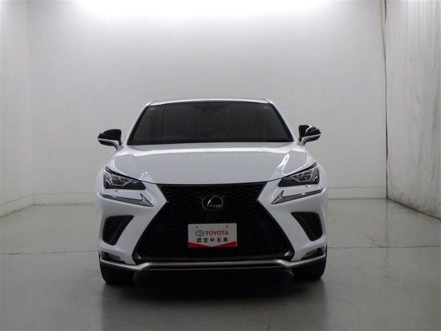 NX300 Fスポーツ