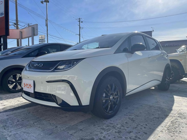 ドルフィンベースモデル