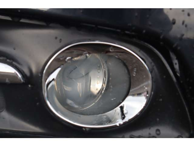 �t�H�O�����v�������c