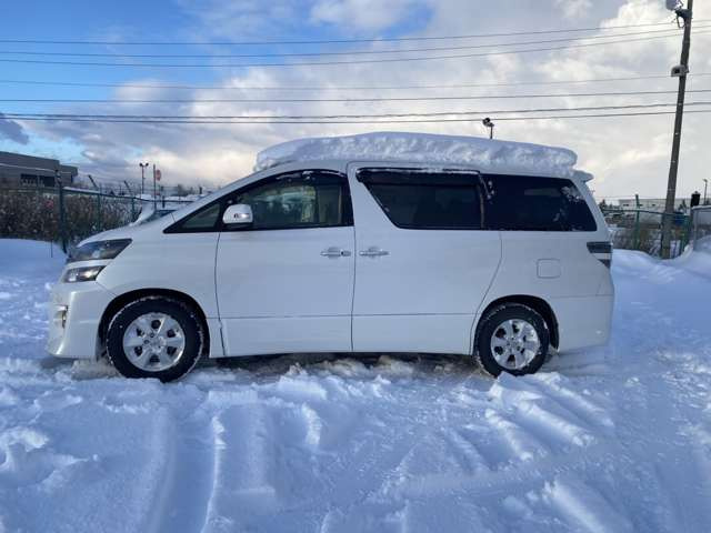 ���Ђ����M�������ăI�X�X������1��ł�!