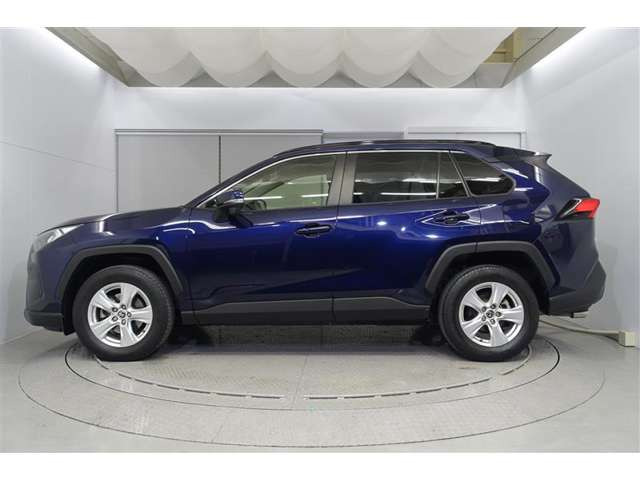 RAV42.0 X