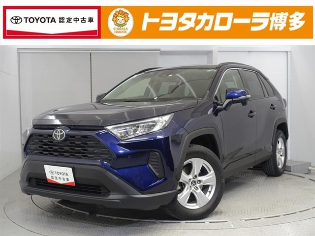 RAV42.0 X