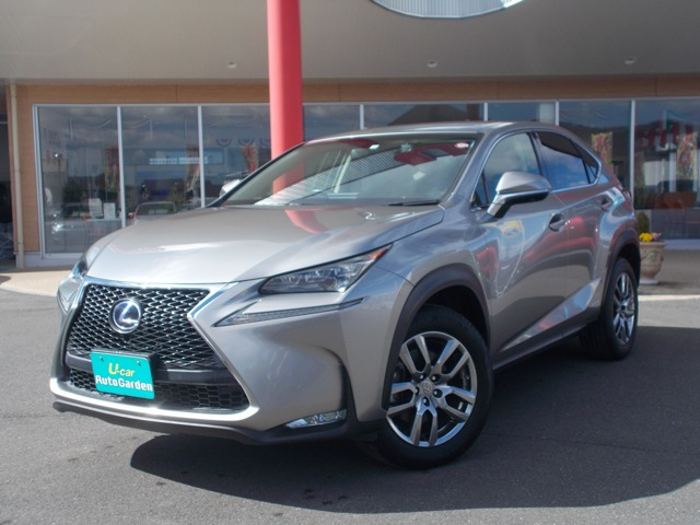 NX300h バージョンL 4WD