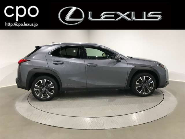 UX250h バージョンL