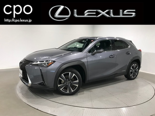 UX250h バージョンL