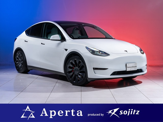ガリキズ無しの美品】TESLA（テスラ）MODEL3 パフォーマンス純正 