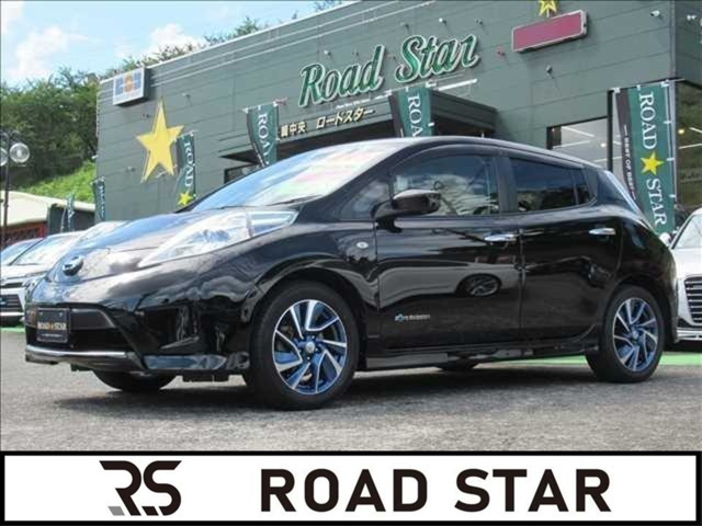 リーフ30kWh G エアロスタイル