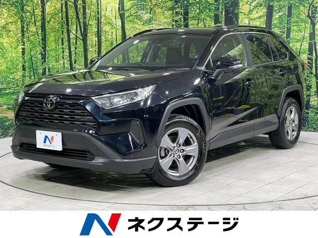 RAV4(トヨタ) 2.0 X 中古車画像