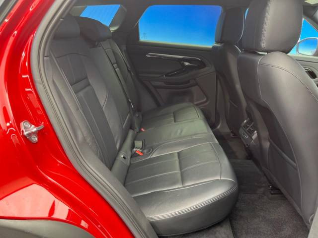 ���㕔���Ȃ��C�ɂȂ�悤�ȃL�Y�E�����ւ��蓙�A�傫�ȃ_���[�W�͂Ȃ��A�ǍD�ȏ�Ԃł��B