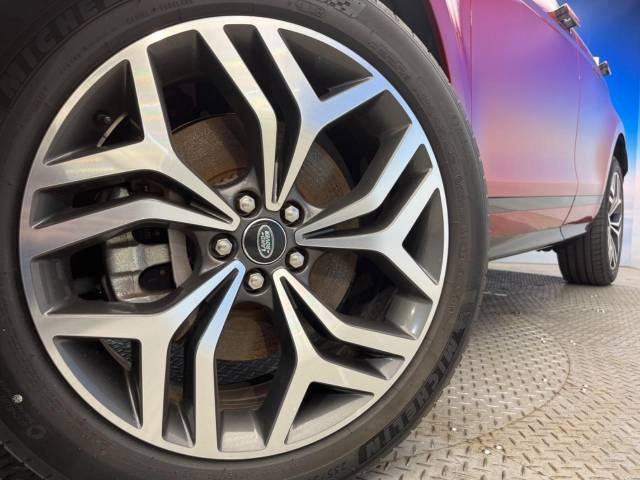 ������20�C���`�A���~�z�C�[��:�A���ԂȂ�ł͂̑�z����������x����z�C�[���Ƒ����ł�!���{�Ԃ̑���Ɋ���Ă�����ɂ����Б̊����Ē��������قǁA�������x���ł܂Ƃ܂��Ă��܂�!