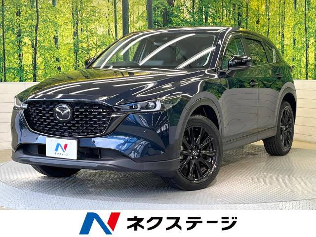 CX-5(マツダ) 2.0 20S ブラックトーンエディション 中古車画像