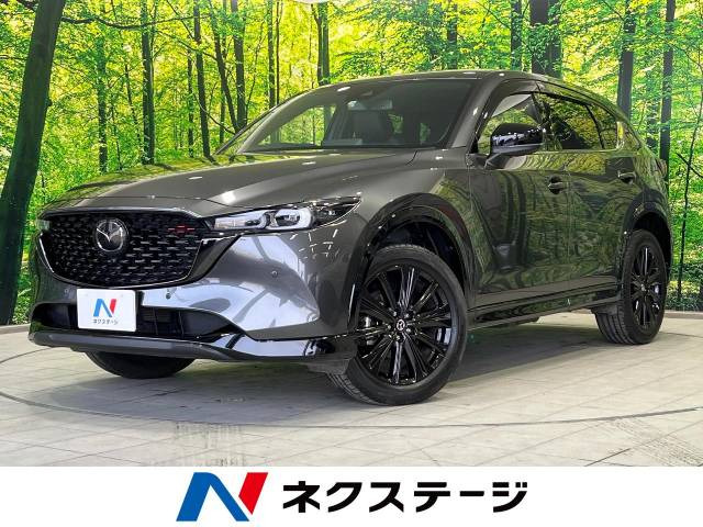 CX-5(マツダ) 2.5 25S スポーツアピアランス 中古車画像
