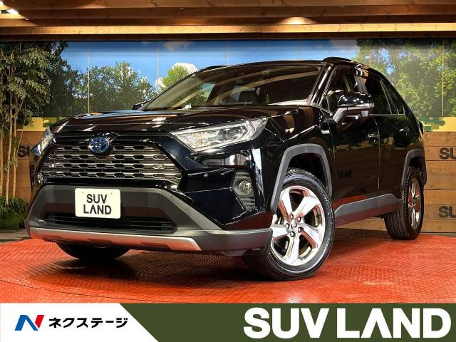 RAV4(トヨタ) ハイブリッドG 中古車画像