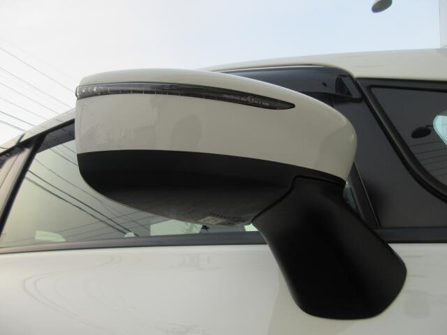 �h�A�~���[�E�B���J�[�t��!���F�����ǂ��Ȃ���S����!�����ڂ��O�b�h�ł���