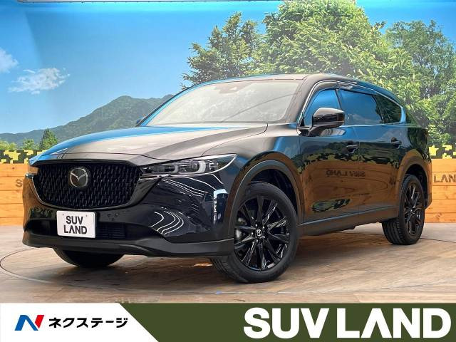 CX-8(マツダ) 2.2 XD ブラックトーンエディション 中古車画像