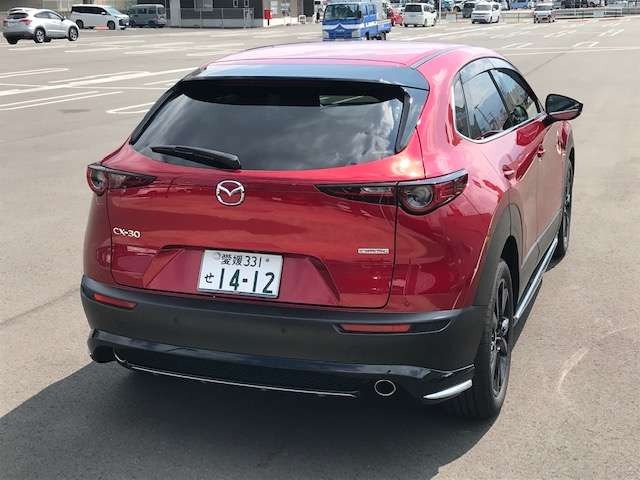 CX-302.0 20S