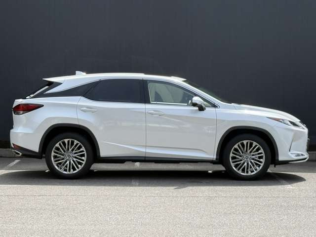 ���I�����d��������{!!���q�l�ցA�[���E������񋟂������܂����c �F�l�̂����X�E���A����S��肨�҂����Ă���܂����c